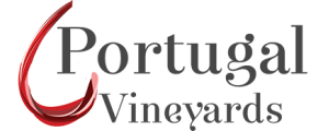 Portugal Vineyards
